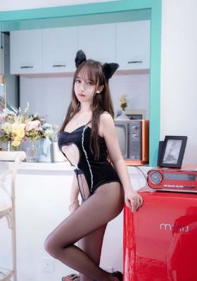 女总裁的贴身高手2